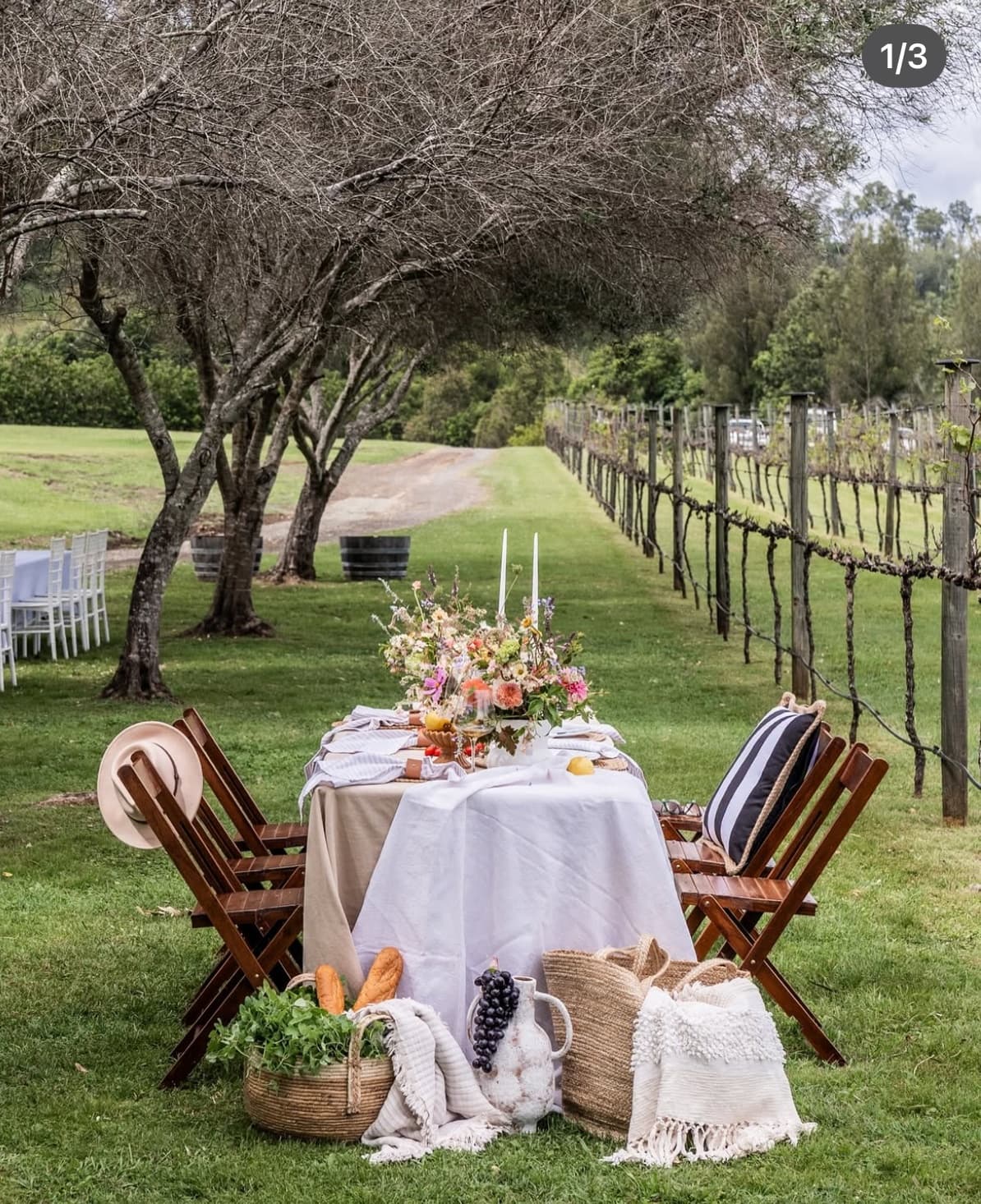 Land Adventures at Sarabah Estate: Luxurious Long Lunch Experience