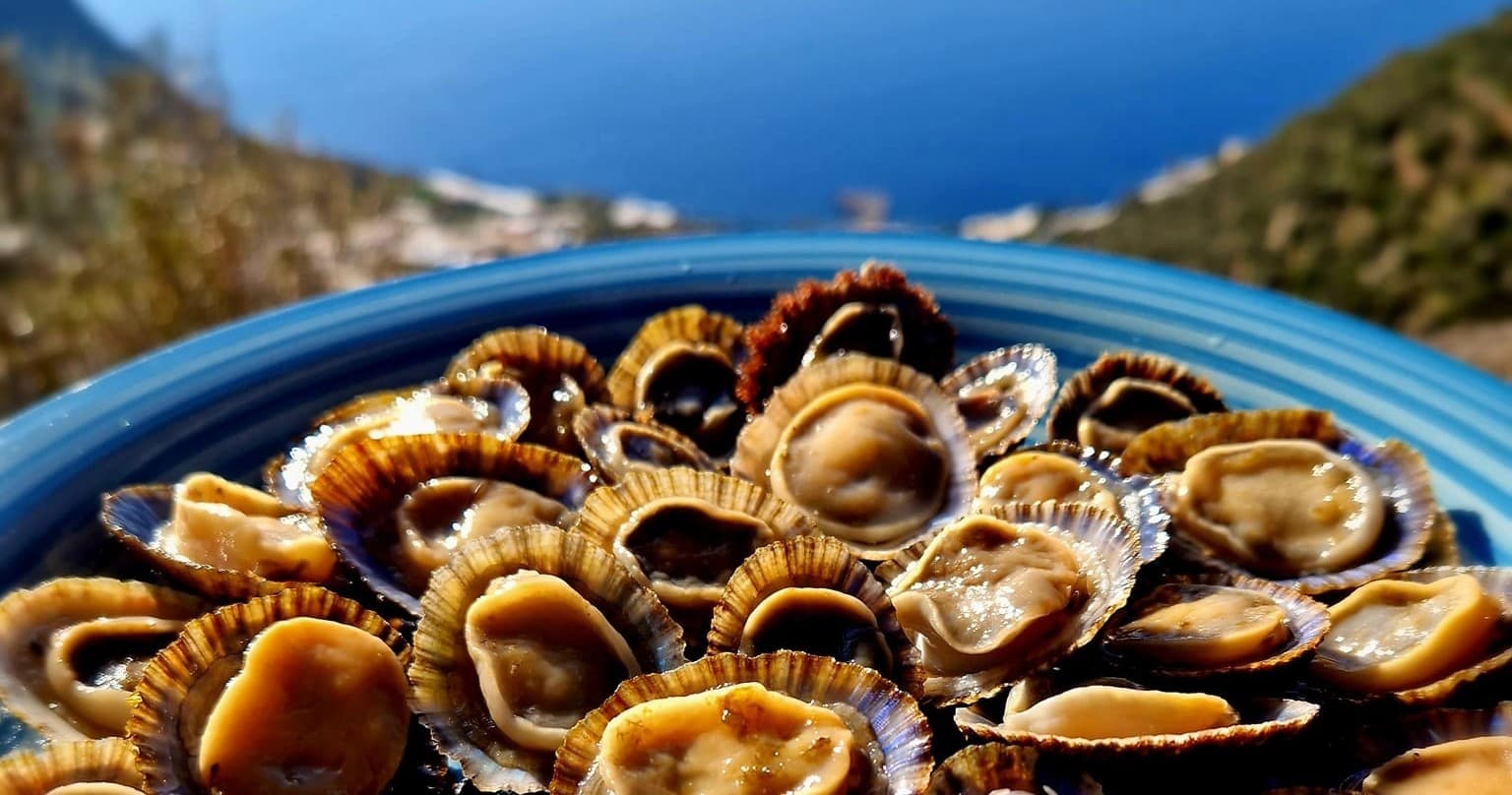 Farm Experiences & Tours: Sicily Lemon & Cooking Adventure