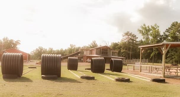 Private Farm Tours in Brilliant, Alabama — Hands-On Animal Encounters & Mega Slides