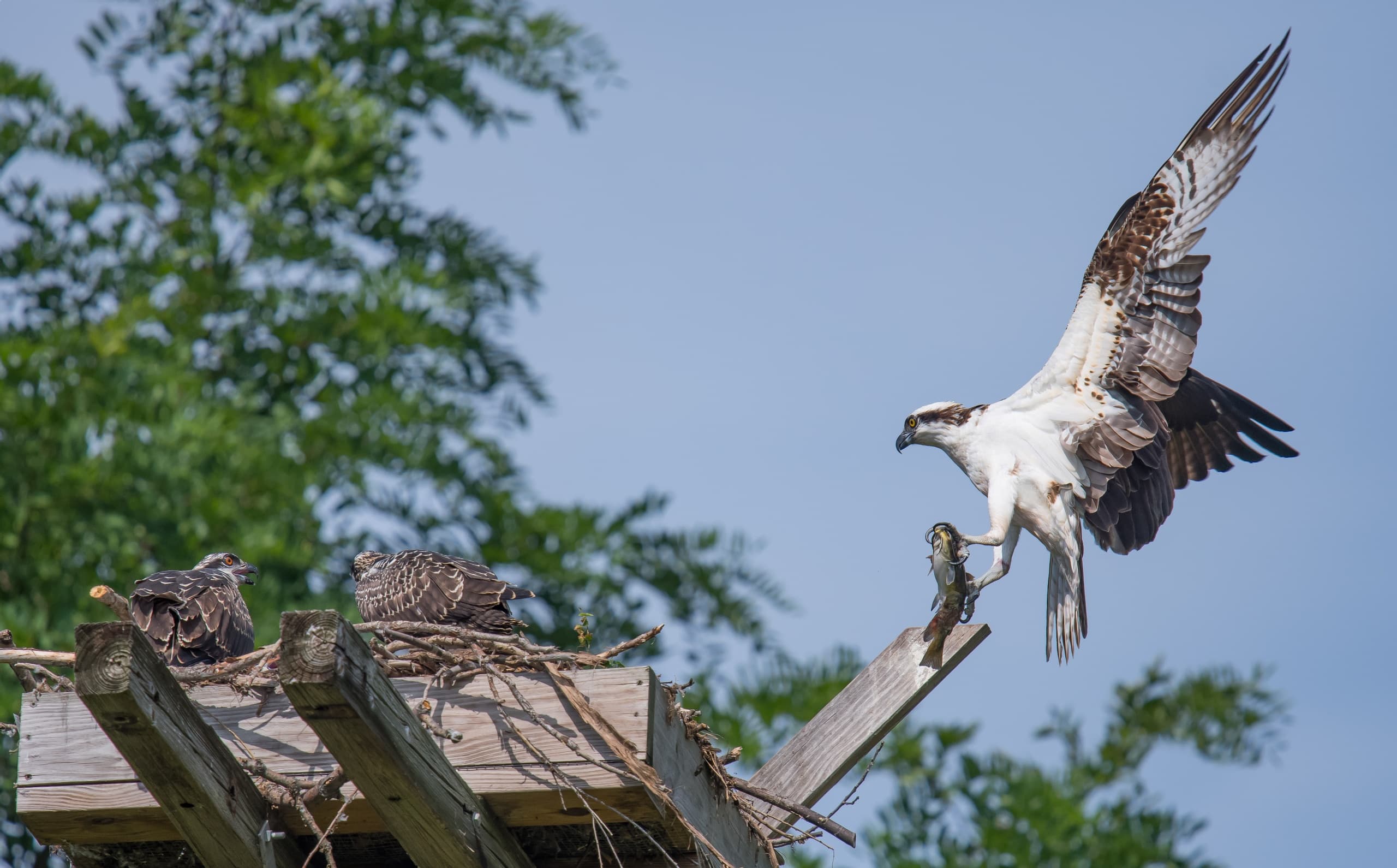 Cayuga Lake Eco-Cruise with Discover Cayuga Lake in Ithaca