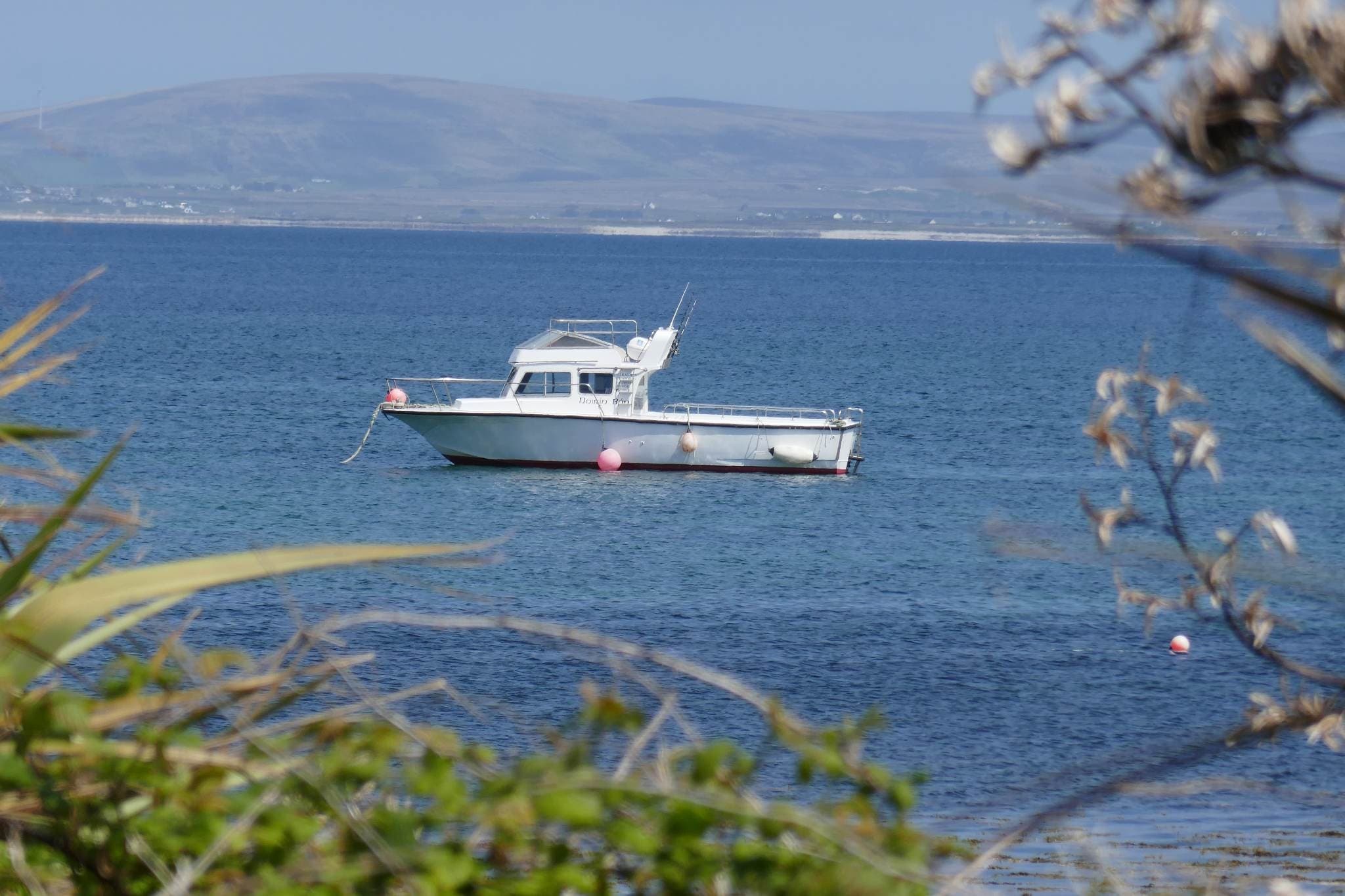 Blacksod Bay Sea Angling: Tope, Sharks, and Atlantic Bass with Wild West Boat Tours