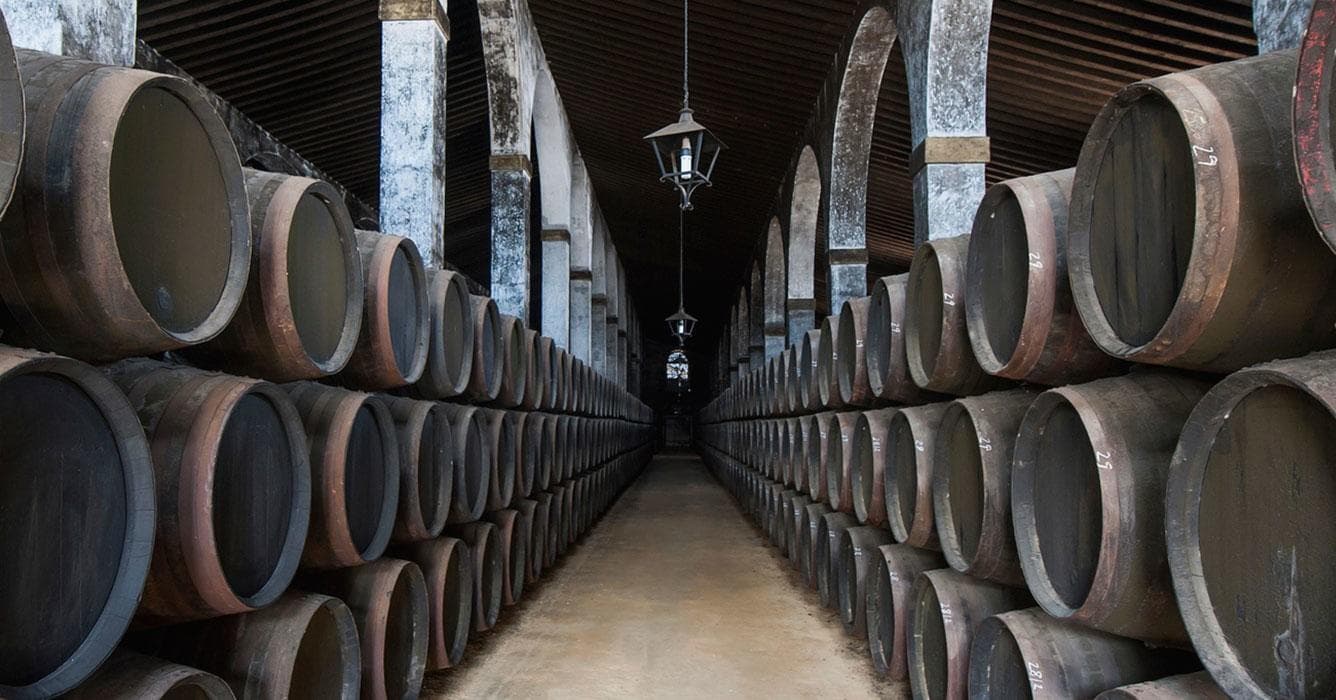 Land Adventures in Jerez & Cádiz with All Sevilla Guided Tours
