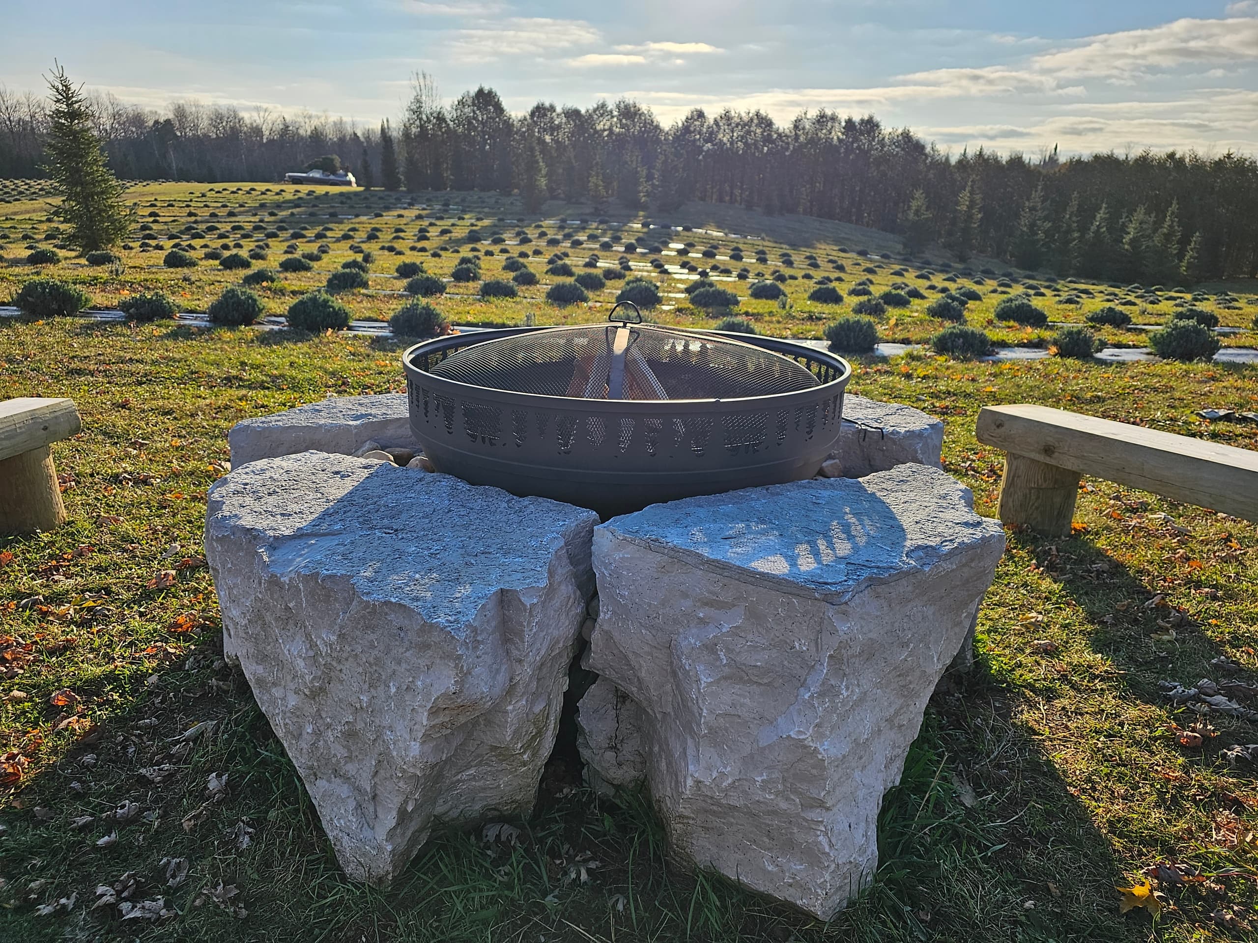 Sunset firepit terrace overlooking lavender rows on farm