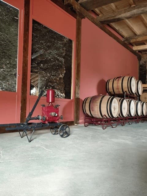Bodega Lagar do Cigur: Cave-to-Glass Wine Tasting in Galicia photo 3