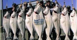 Halibut & Salmon Charters with Good Time Halibut in Homer