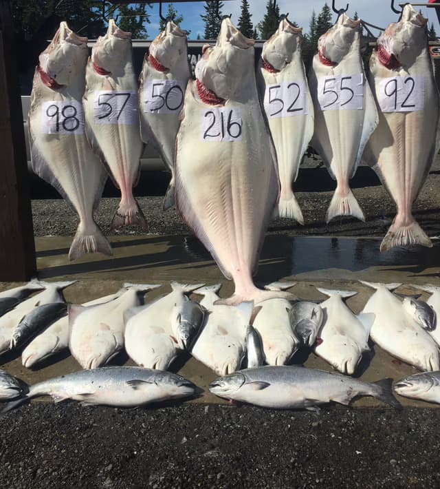 Captain Steve's Charters fleet