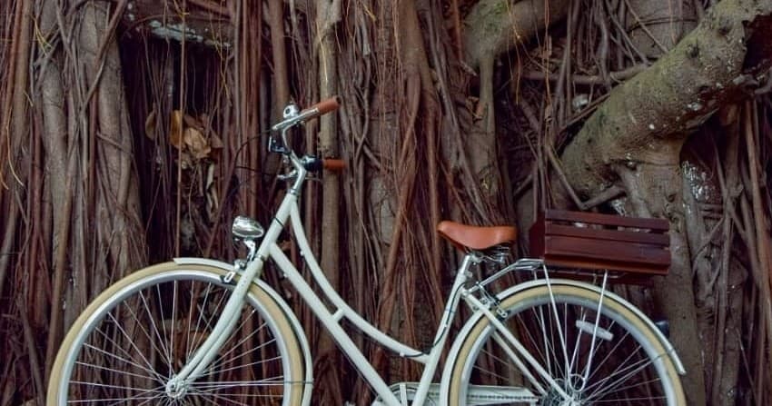 Full Day Bike Rental Adventure with Beach Bum Cozumel
