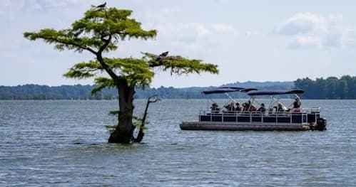 Water Activities with Blue Mountain Lake Boat Livery