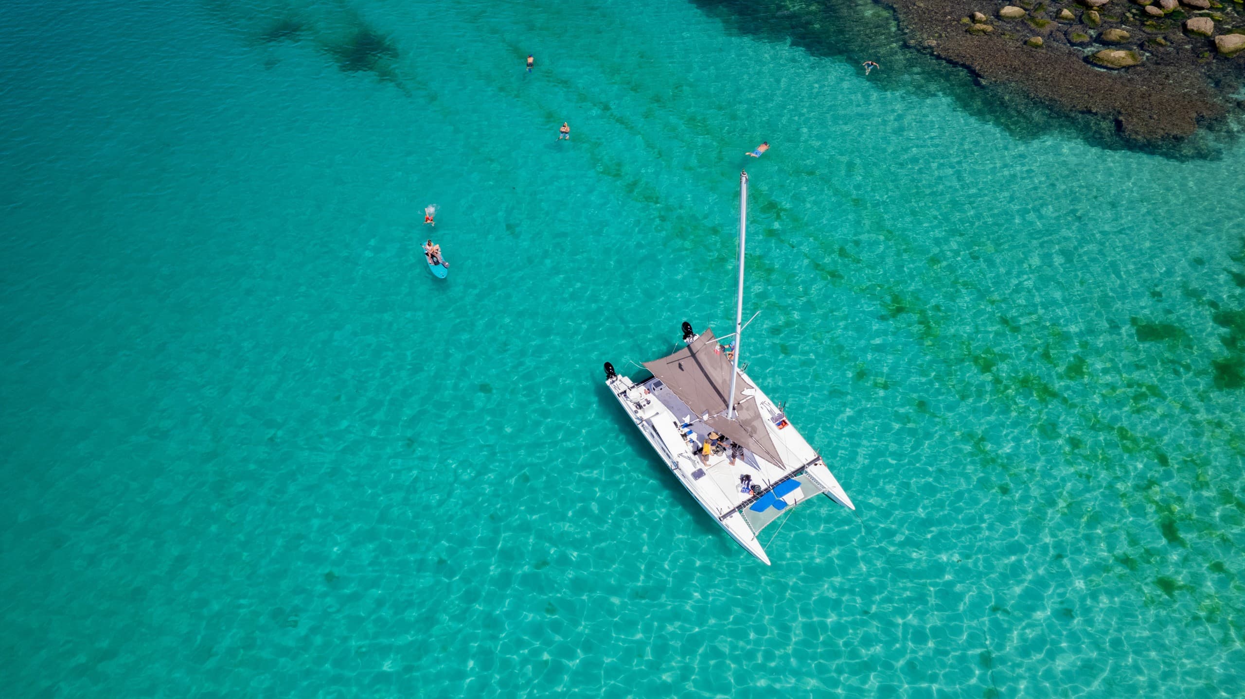 36' Catamaran Snorkel & Sunset Cruises in Loreto's Sea of Cortez photo 1