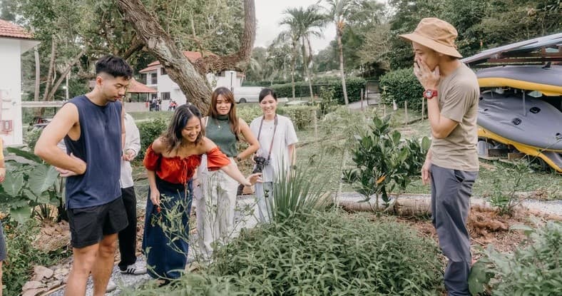 Urban Chicken Keeping in Singapore: Hands-On Salad and Sugarcane Workshop Experience