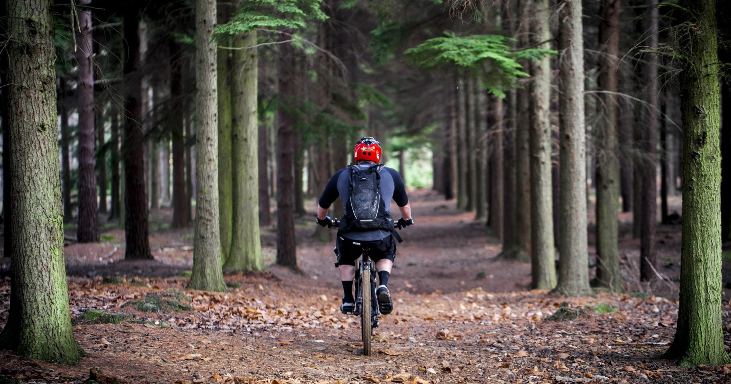 Mountain biker riding through dense mossy forest trail