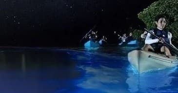 Paddling Laguna Grande: Night Kayak Through Puerto Rico’s Glowing Bay