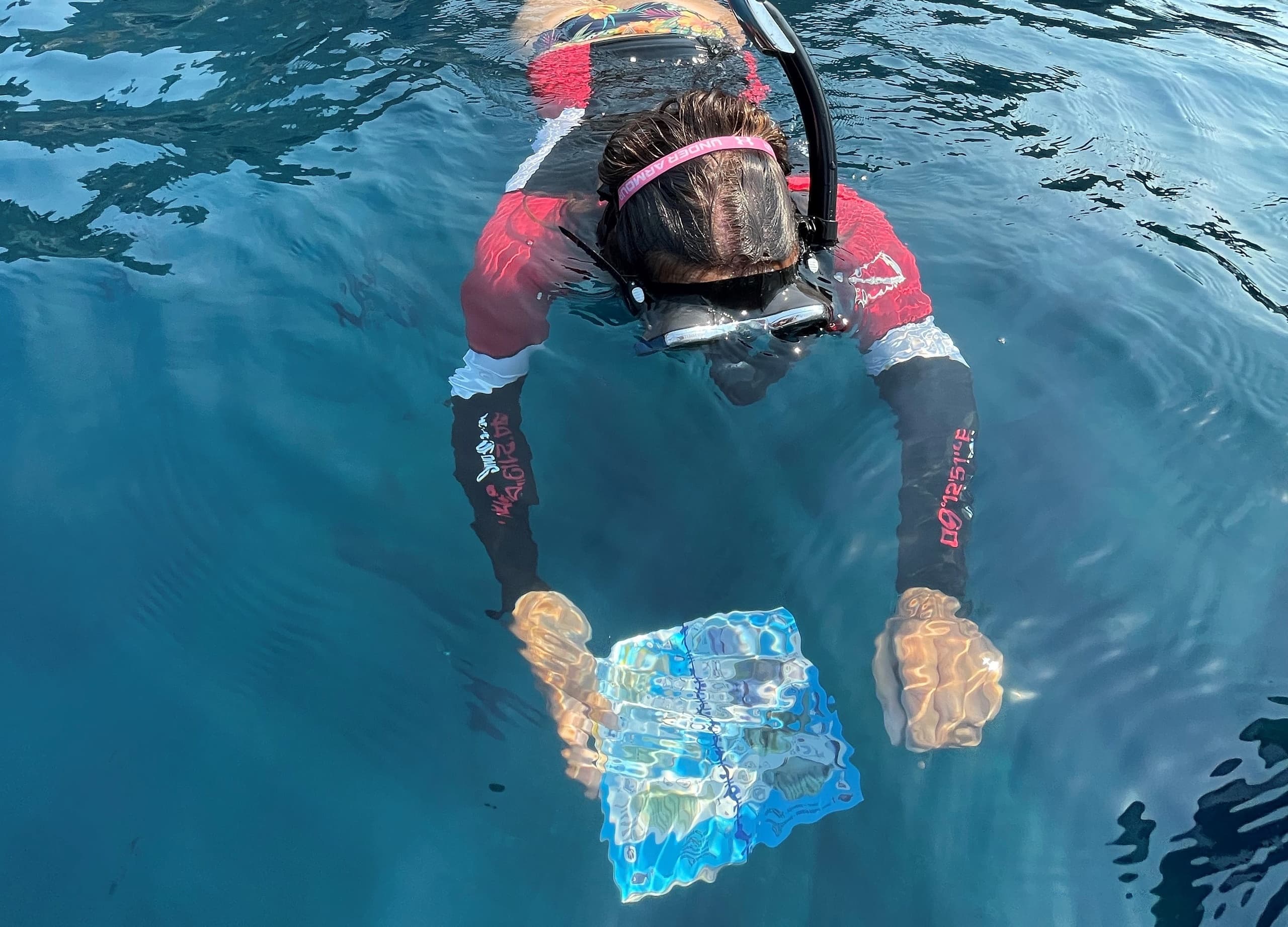 Snorkeling & Sea Watching with Arbaspaa in Porto Venere