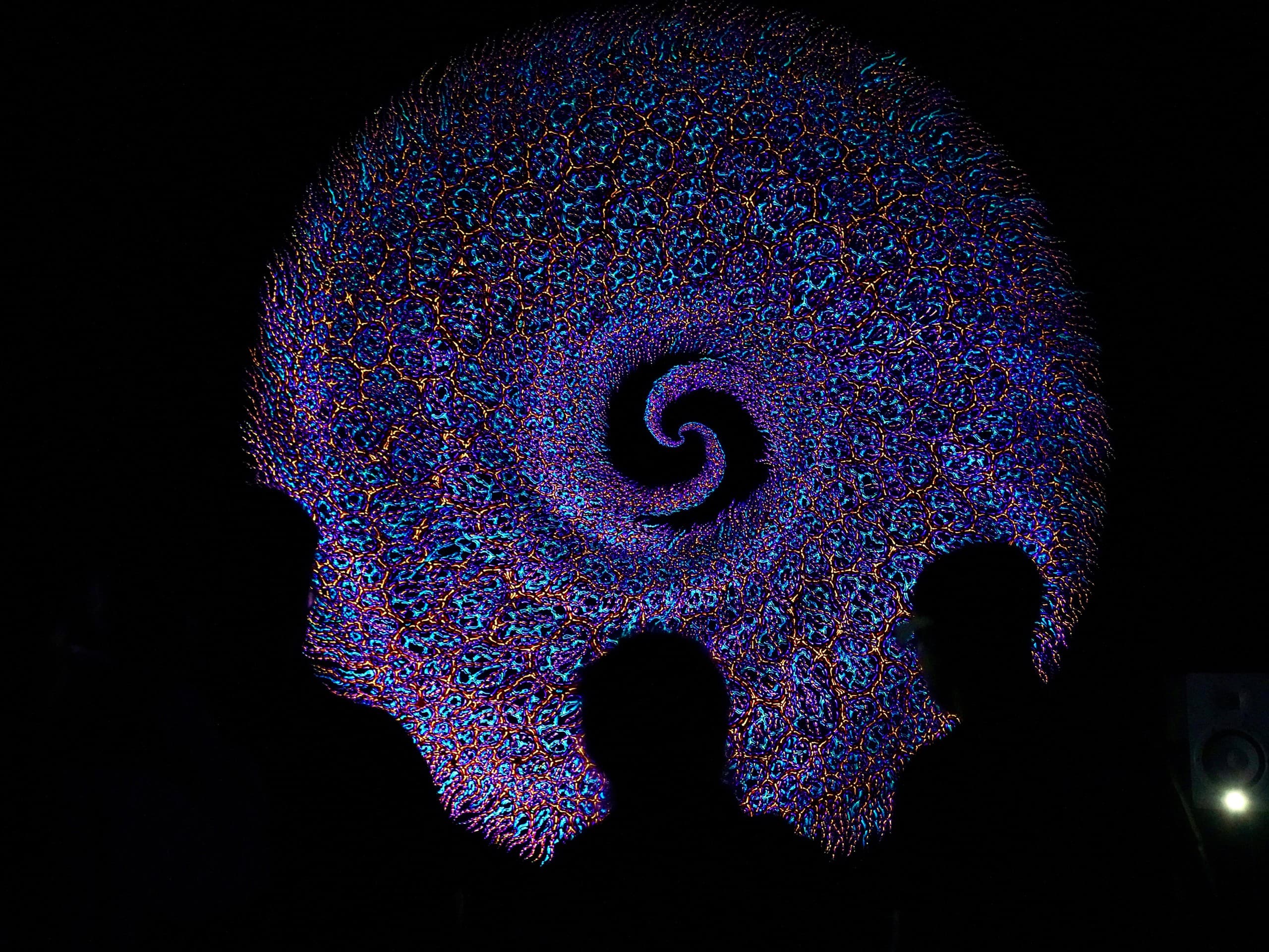 Private Luminescent Immersion with Alex Aliume — Exclusive Light Art Tour in Brooklyn photo 2