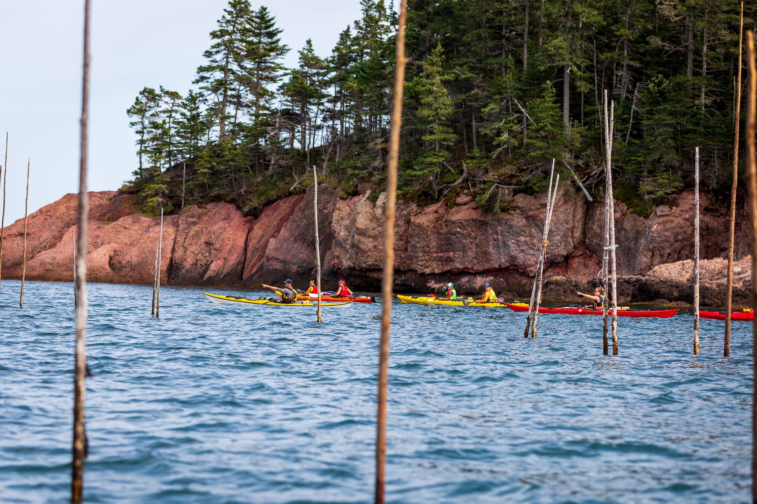 Fundy Isles Sea Kayaking Expedition: 3-Day Guided Kayak Trip from Saint Martins photo 4