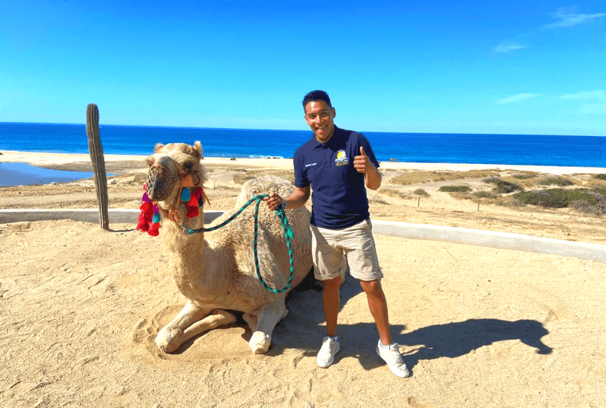 Camel Ride in Los Cabos: Beach & Desert Adventure photo 1