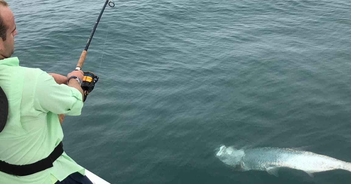 Angler reeling in fish over emerald Tampa Bay waters