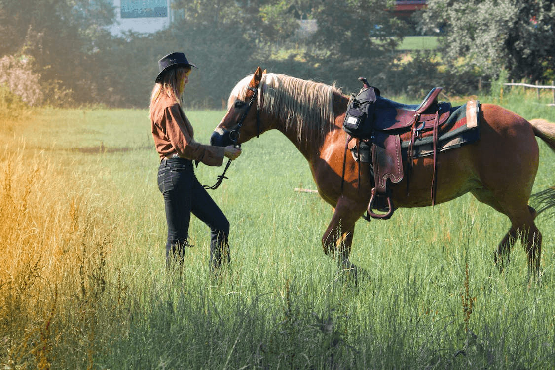 Ranch guide leading saddled horse through sunlit grassy meadow