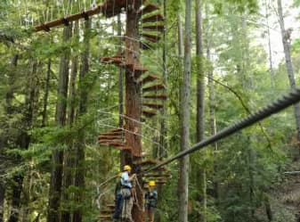 Sonoma Zipline & Wine Tours with Wine Nation Tours