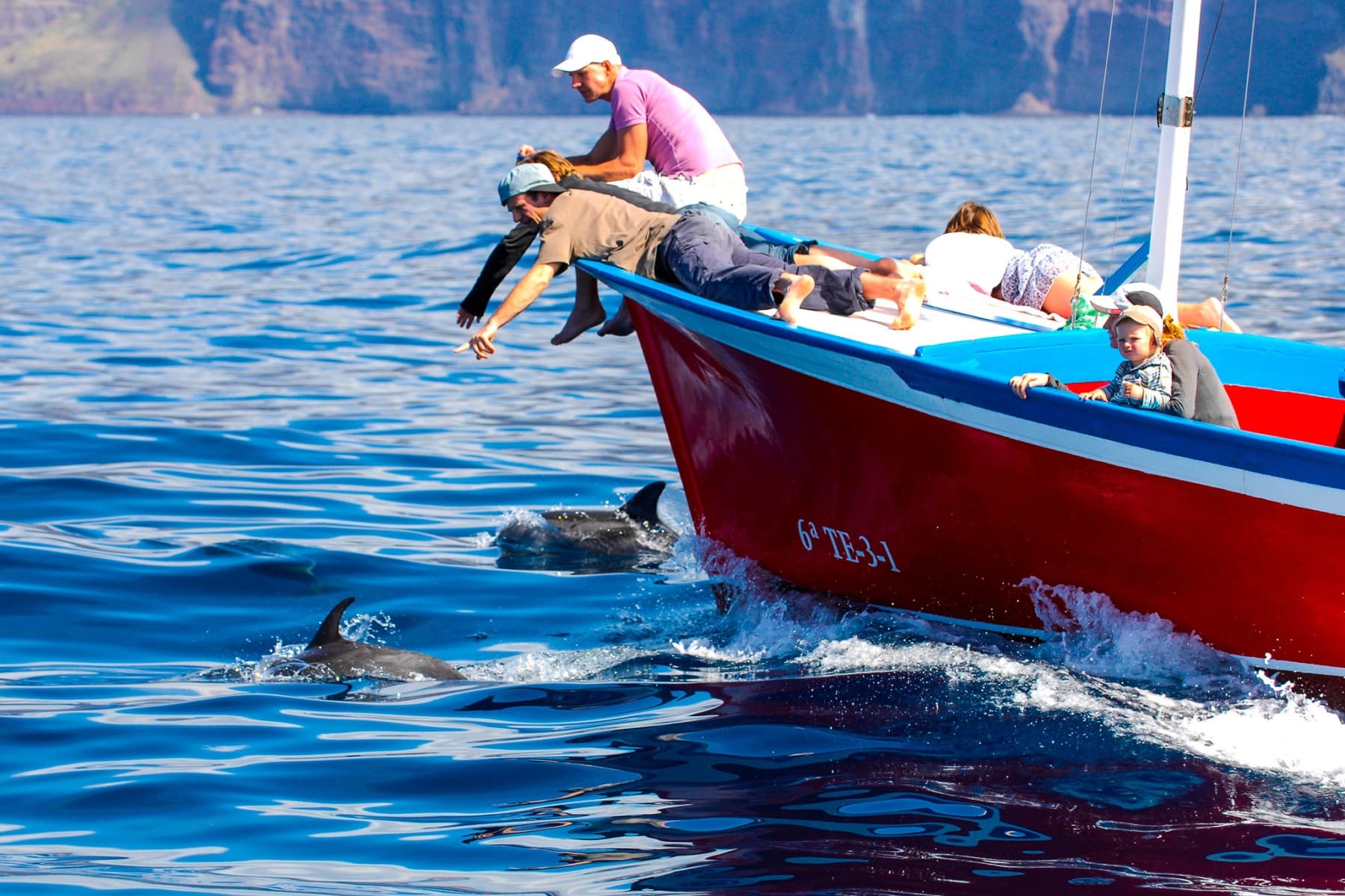 Whale Watching Tour La Gomera with Oceano Whale Watching