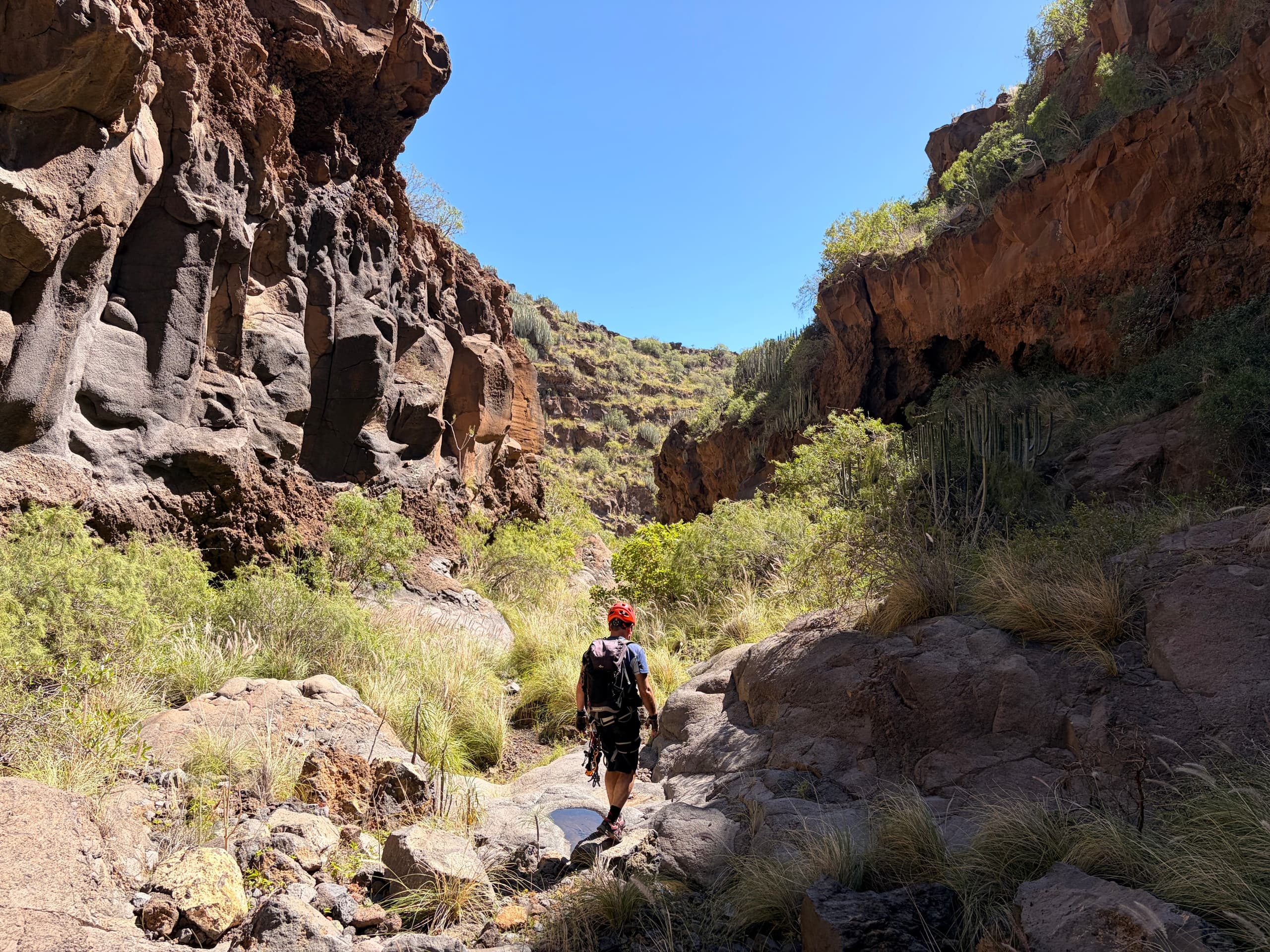 Inside Barranco Hondo: Tenerife’s Basalt Rappel, Guanche Caves and Coastal Swim photo 2