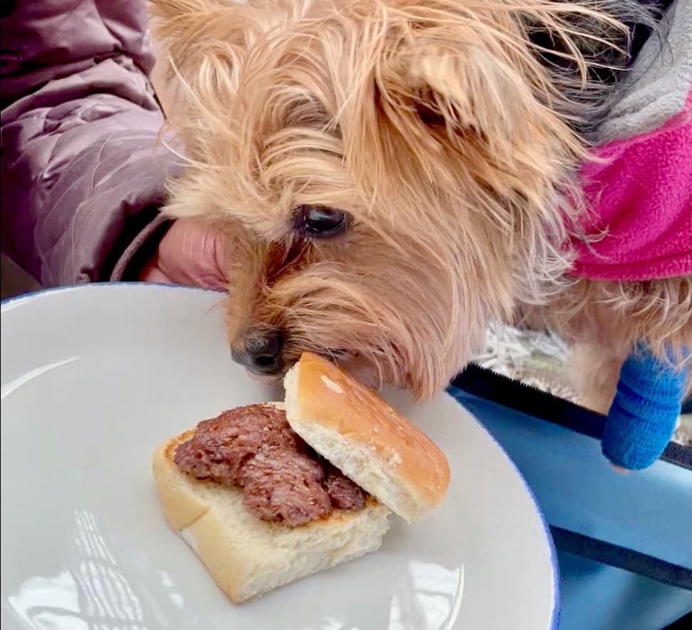 Barks & Bites: Doggie Crawl on the Atlanta BeltLine