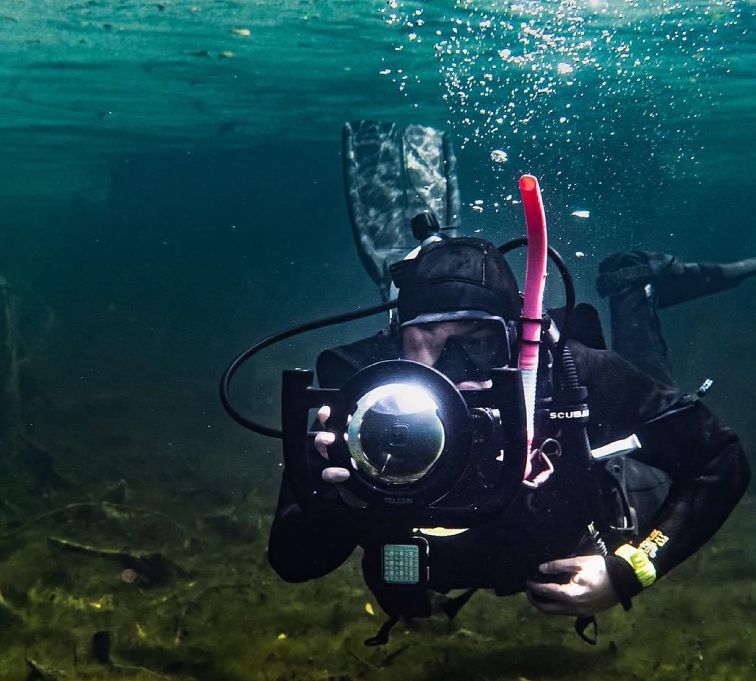 Whole Boat Dive with Sea Cow Aquatic Adventures in Panama City Beach
