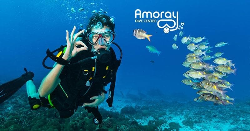 Water Activities with Amoray Dive Resort in Key Largo