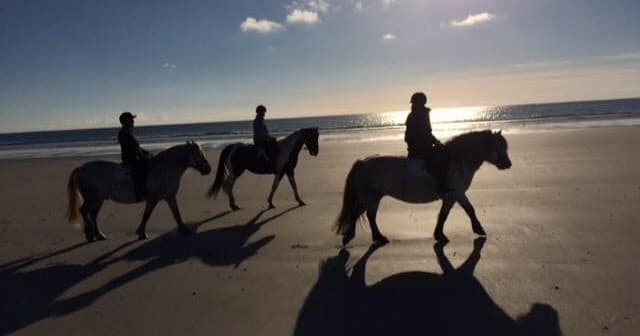 Silhouetted riders trotting along coastal beach at sunset