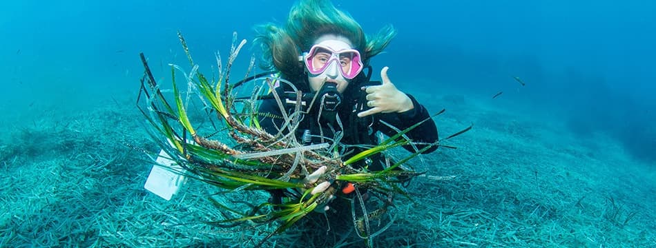 Marine Biology Dives with Dive2gether Crete
