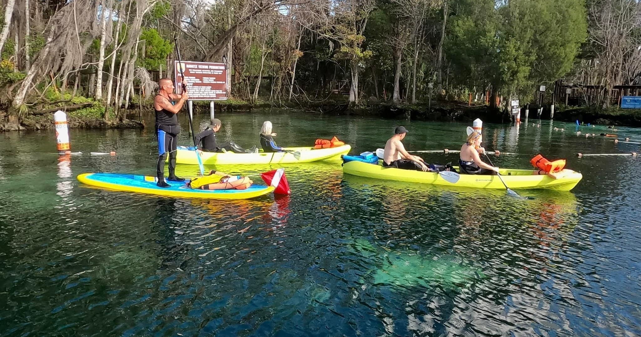 Group kayakers paddling along forested river with scenic banks