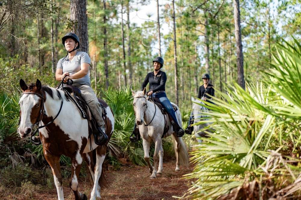 Goethe Long Horseback Trail Ride in Bronson, Florida