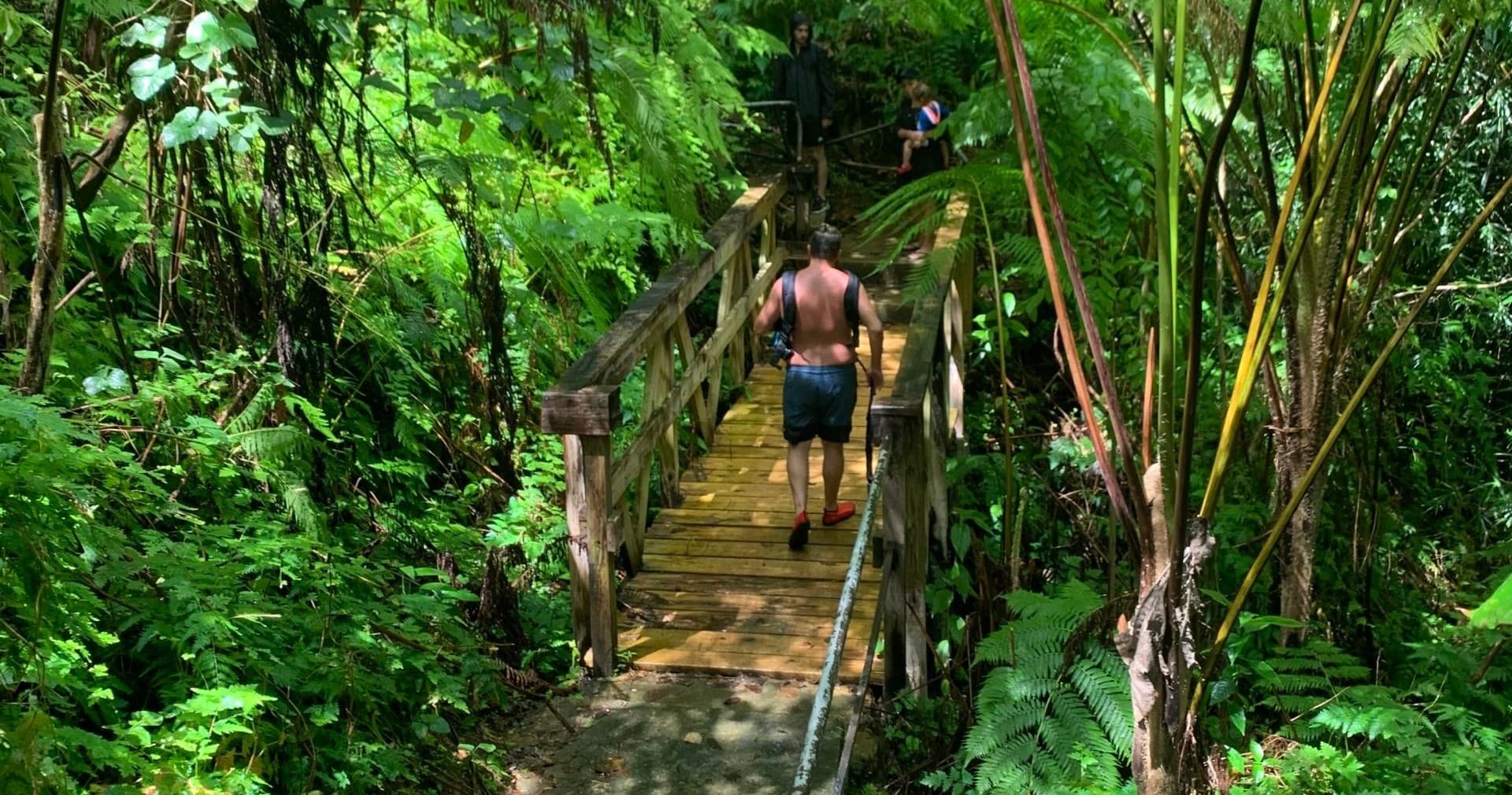 El Yunque Hiking & Luquillo Kiosks Adventure in Puerto Rico