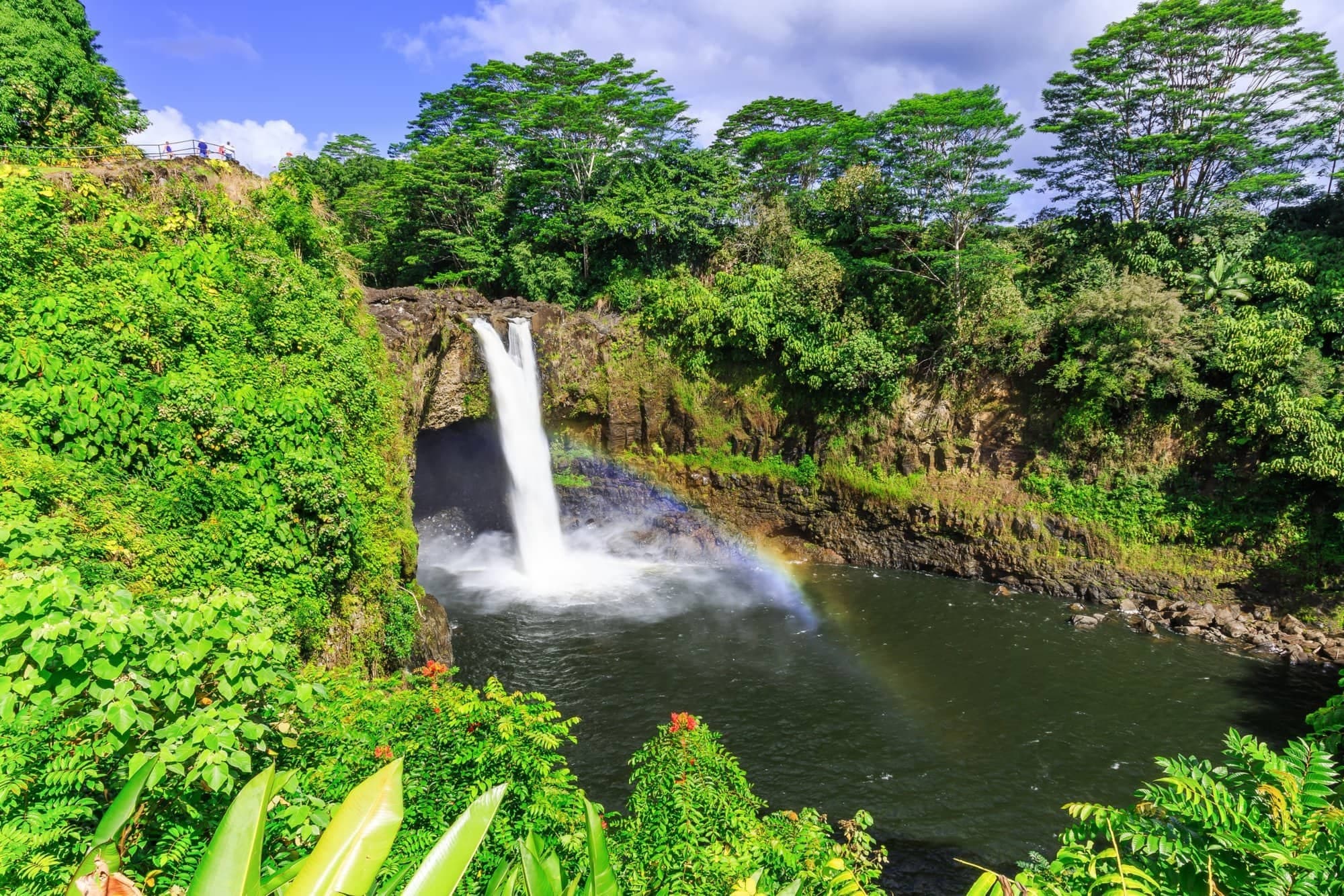 Hilo Waterfalls and Hamakua Coast: Full-Day Rainforest to Ocean Tour