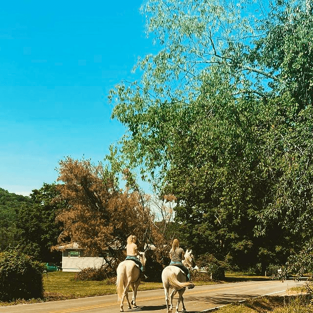 Two Hour Ride Adventure in South Bloomingville, Ohio