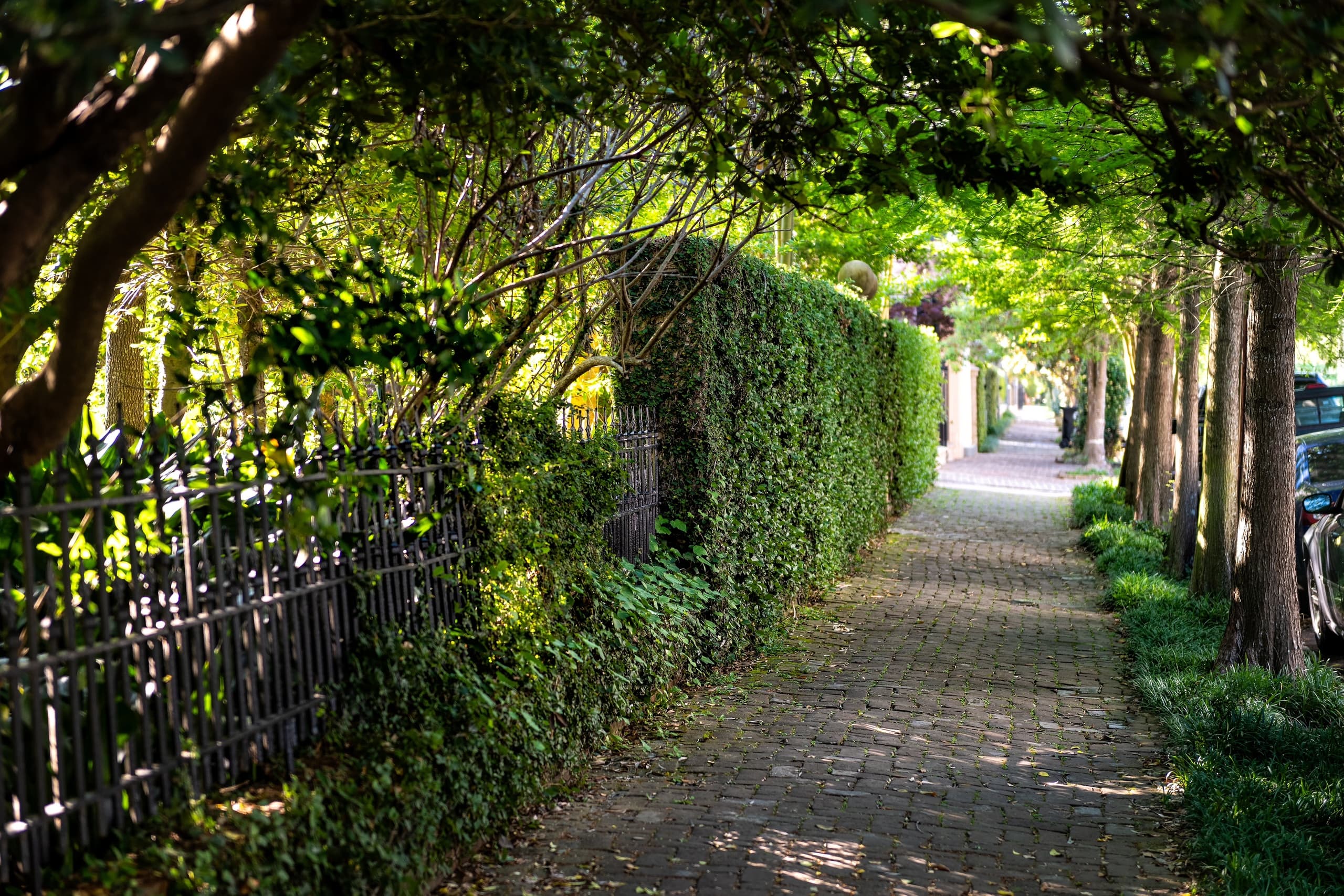 Garden District Walking Tour by SUPER CITY TOURS, New Orleans