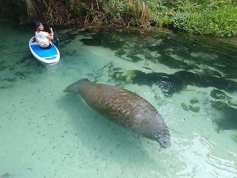 Water Activities & Miami's Biscayne Bay Light Cruise by SoFlo Water Adventures
