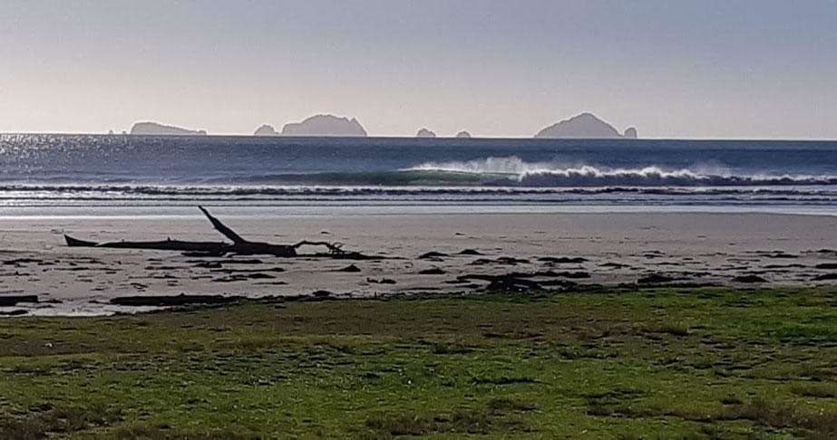 Land Adventures at Kiwi Dundee Adventures on Coromandel