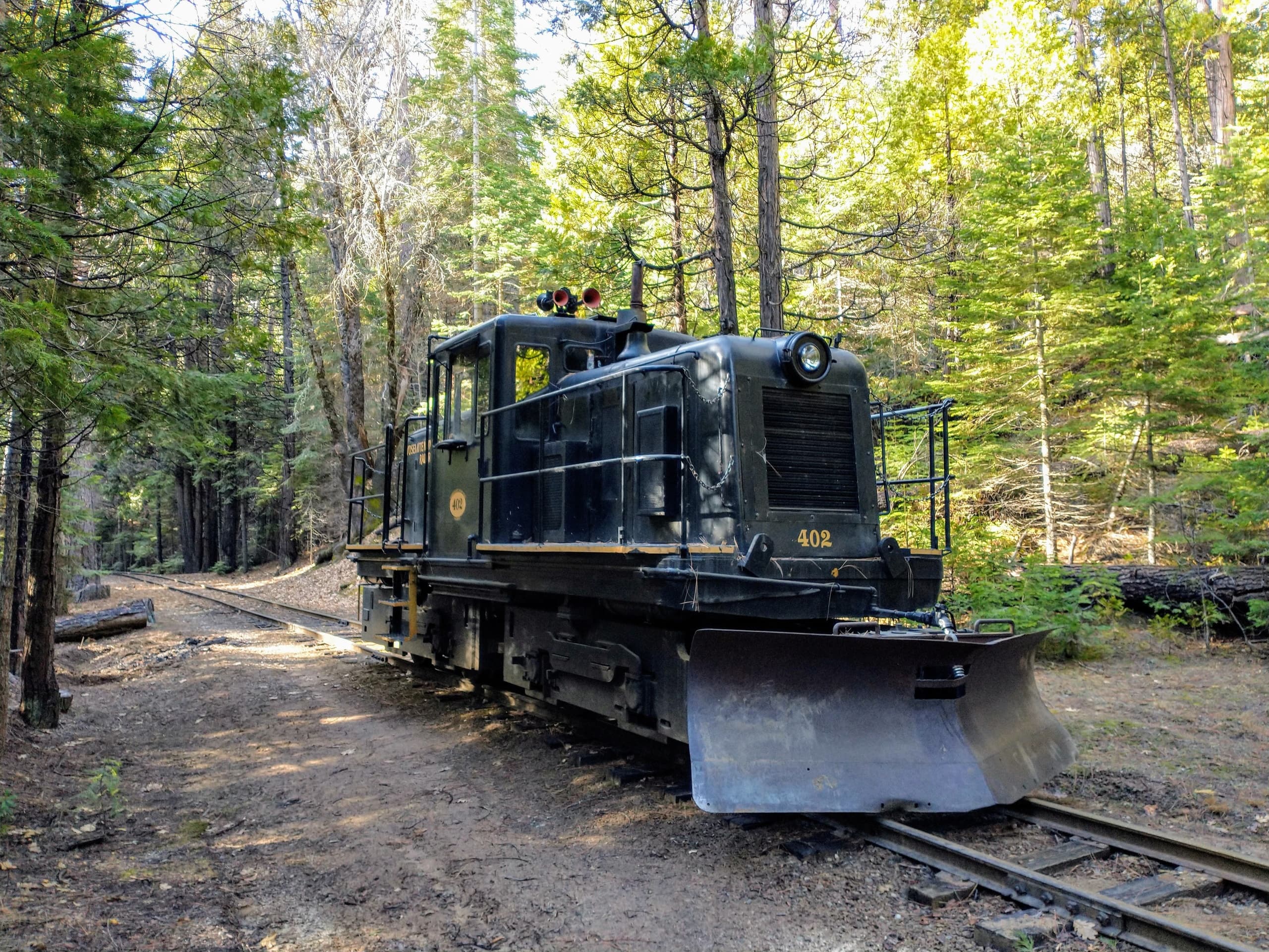 Lil' Logger Diesel Scenic Train Ride in Fish Camp, CA