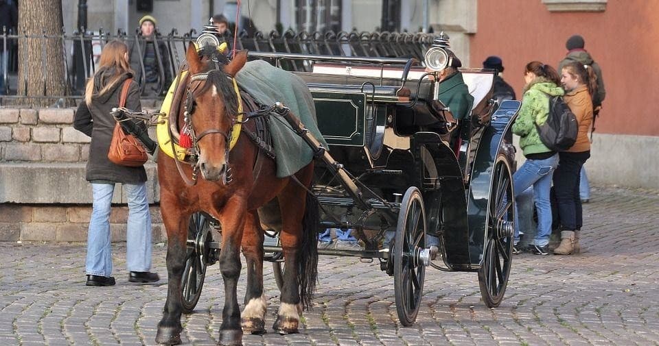 Horse Carriage Ride Warsaw with AB Poland Travel