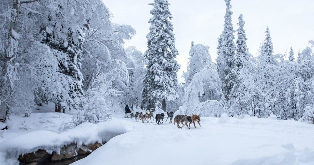 Chena Hot Springs Resort fleet