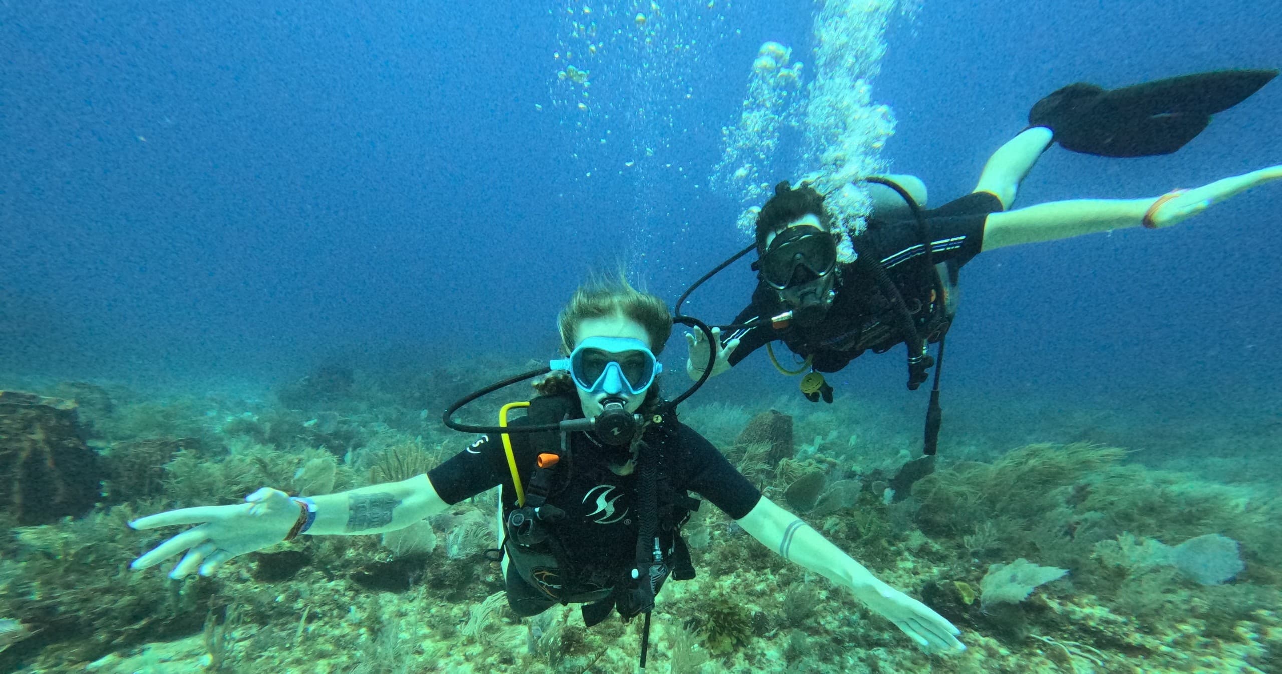 Complete Your PADI Open Water Certification with Referral Dives in Cancun’s Vibrant Marine Park