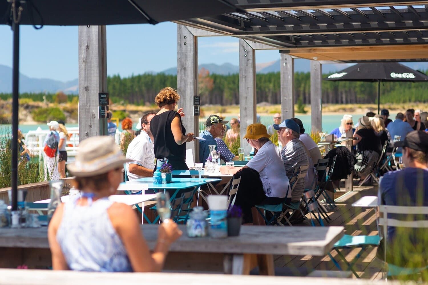 Coastal Wine Biking with The Gentle Cycling Company in Nelson
