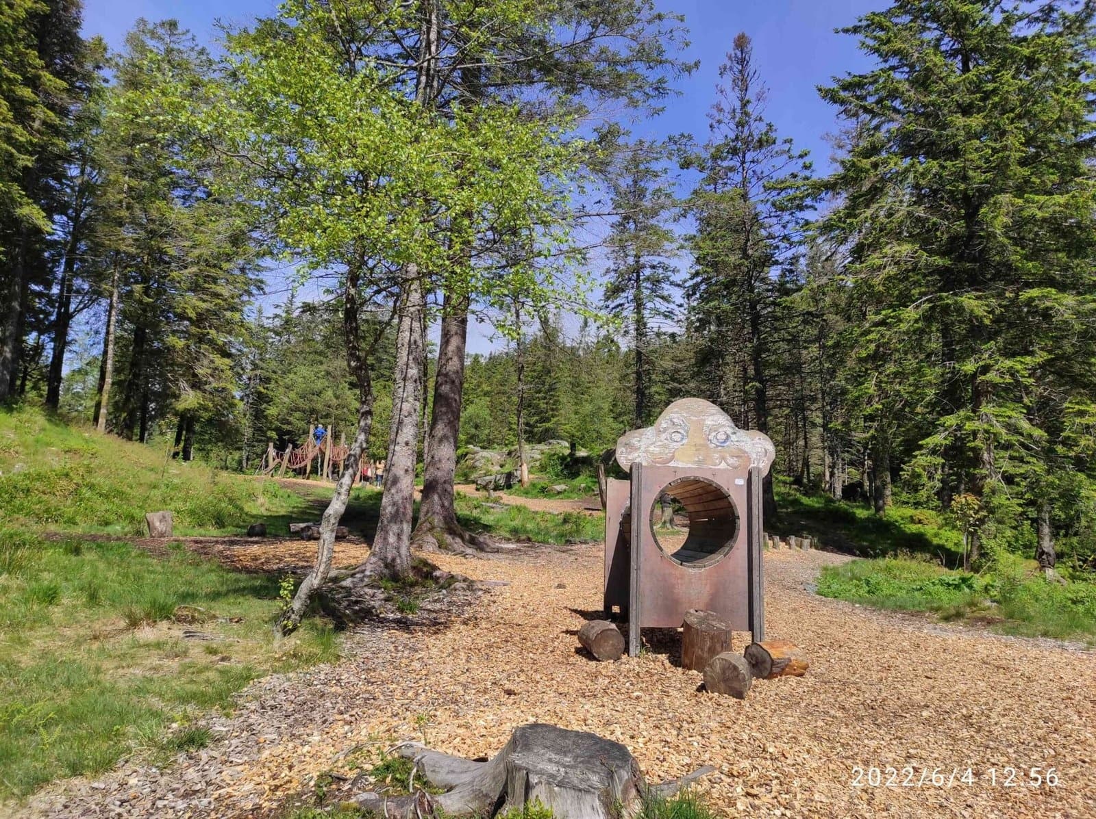 Forest trail and wooden play sculpture in lush pine woods