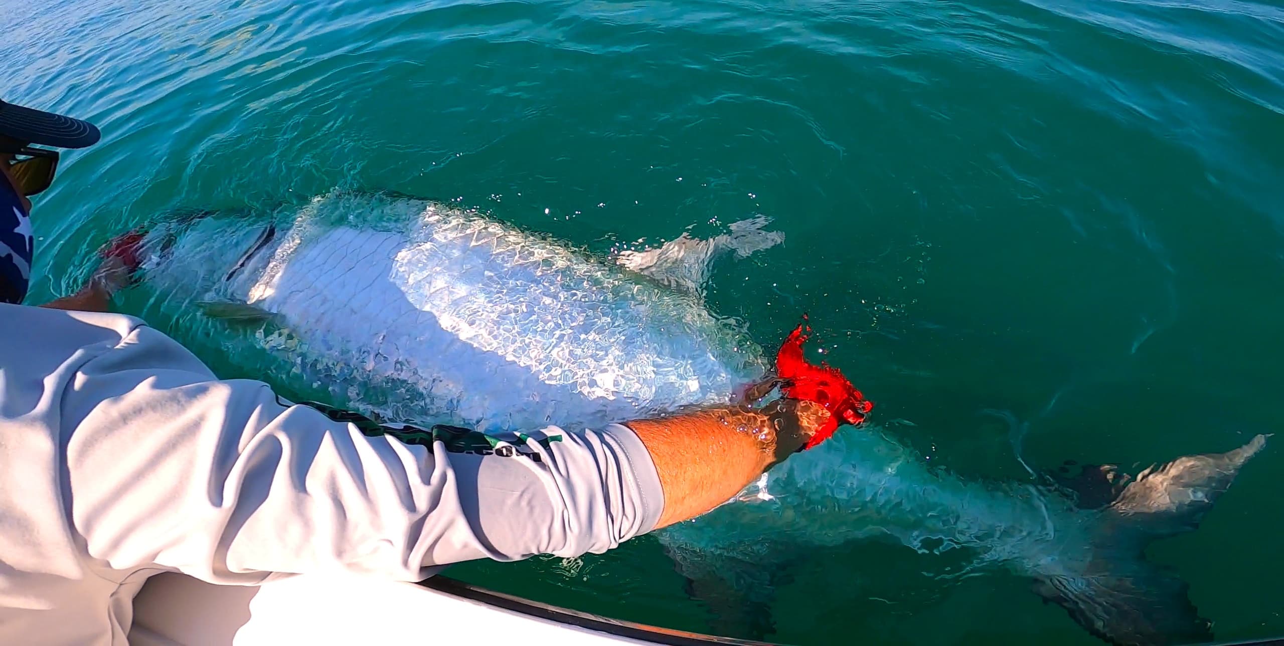 Inshore Tarpon Fishing with Florida Inshore Fishing Charters in Edgewater