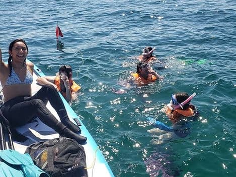 Explore Vibrant Marine Life with Ocean Reef Snorkeling and Paddleboarding in Dania Beach FL