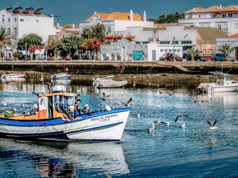 Sotavento Salt & Seafood Tour with Portitours