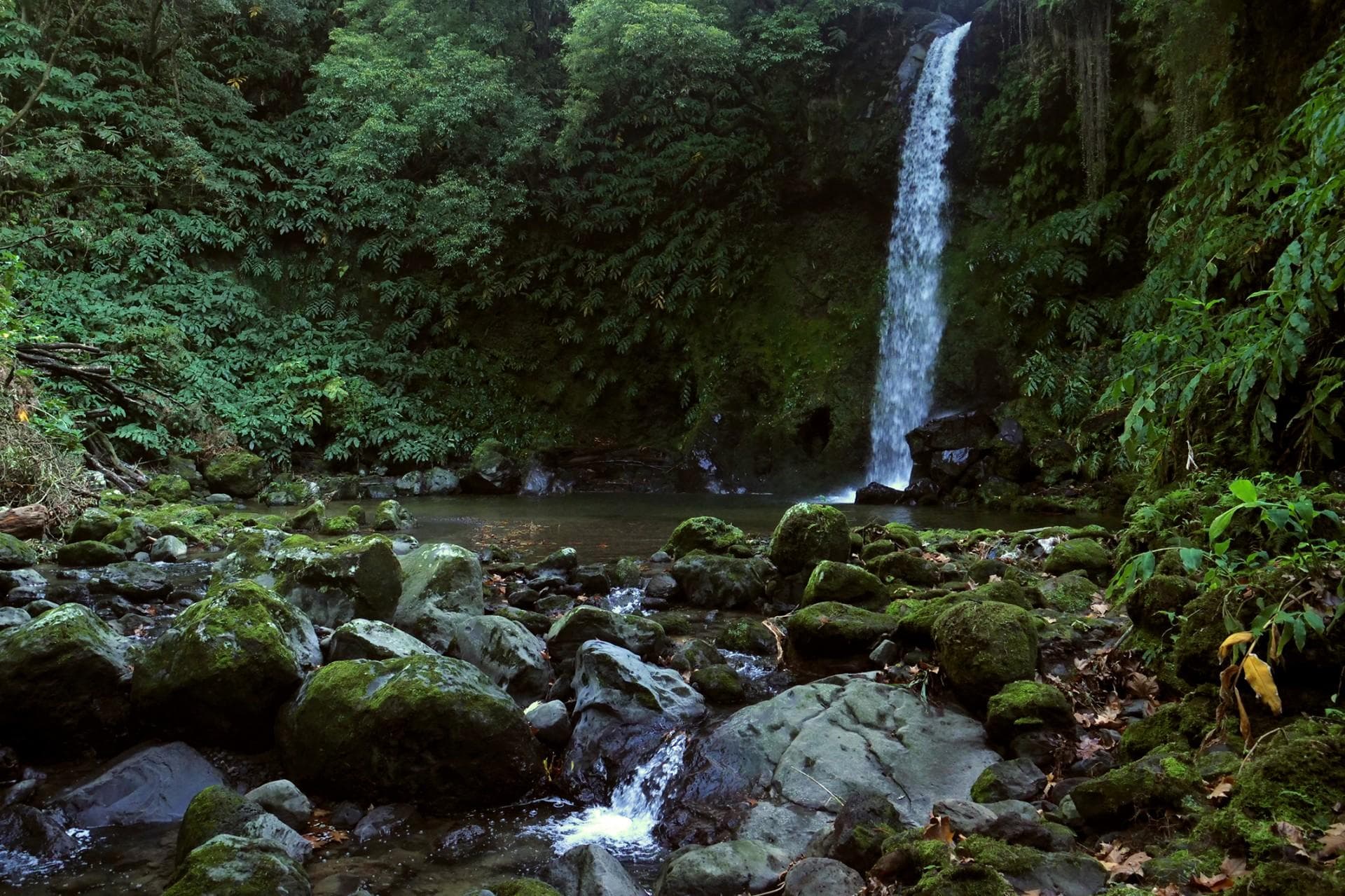 Hiking Northern São Miguel Coast with Futurismo Azores