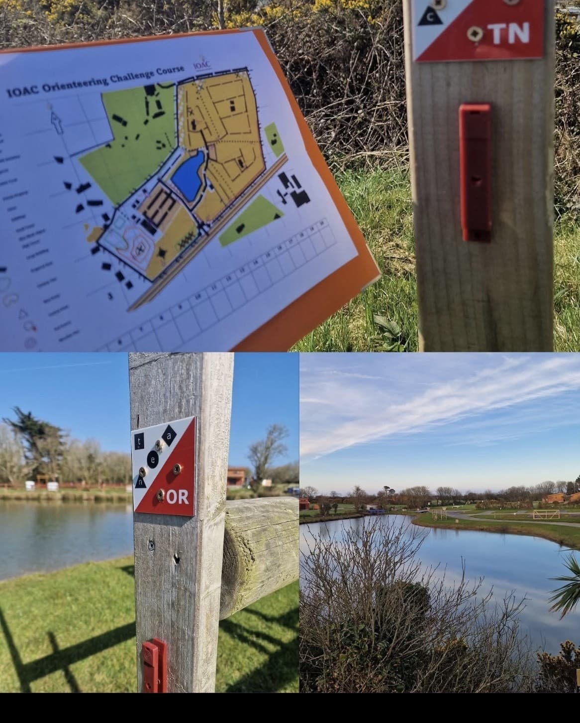 IOAC Orienteering: Family-Friendly Self-Led Navigation in County Wexford