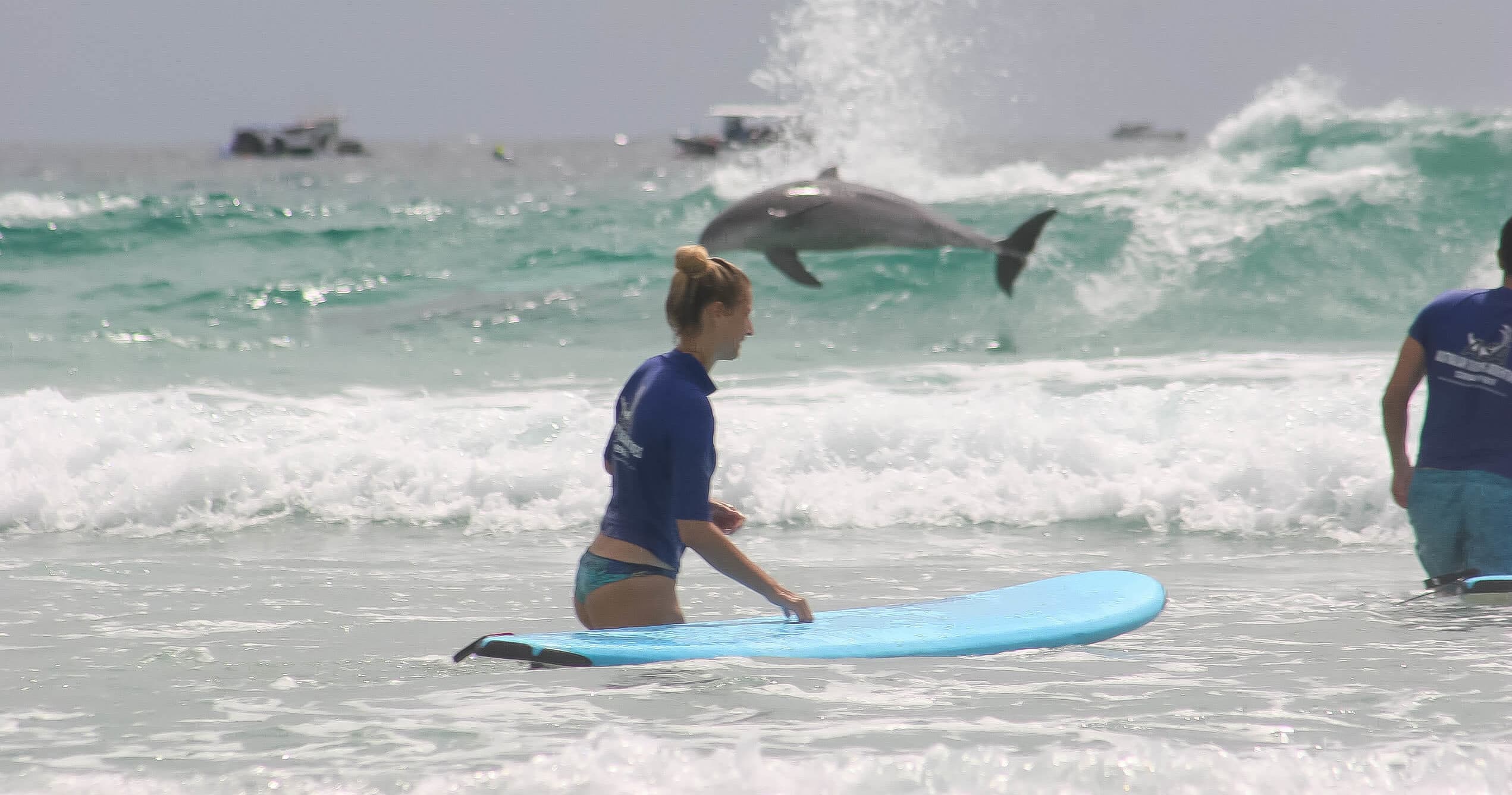 Master the Waves: Beginner Surfing Lessons at Palm Beach, Queensland